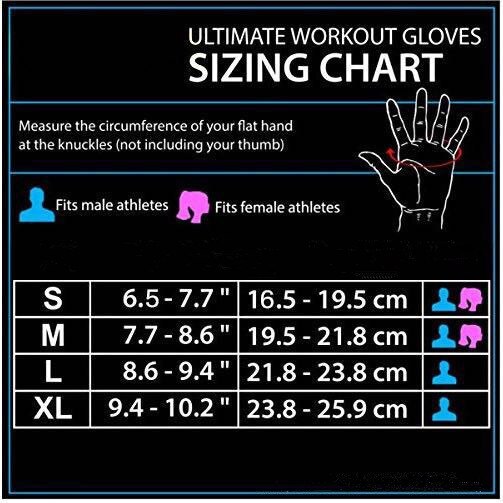 Sports Half Finger Fitness Gloves Dumbbell Wear Yoga Riding Gloves Equipment Training Fitness Non-slip Riding Hunting Hand